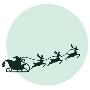 Santa Flying